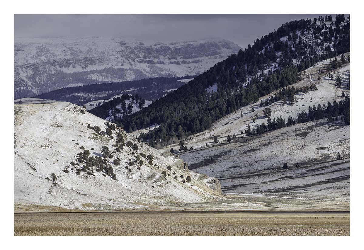 National Elk Refuge